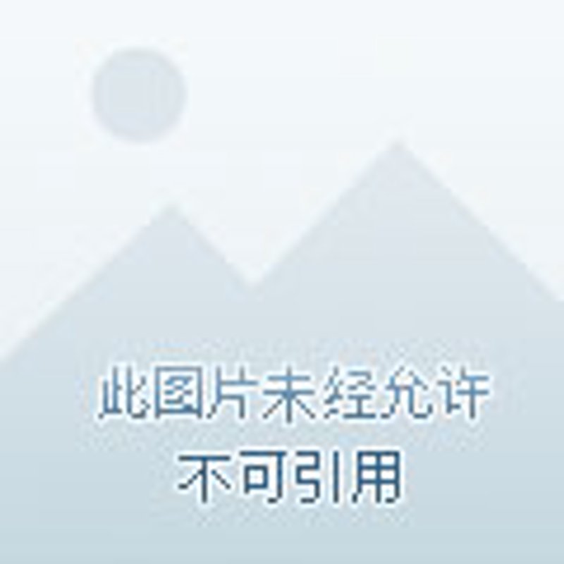 企业管理系统：数字化转型新时代的利器